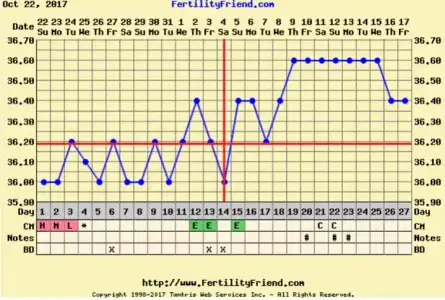 20171117_163830.webp
