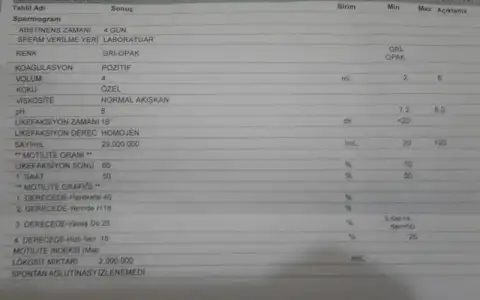 20171116_195620-1.webp