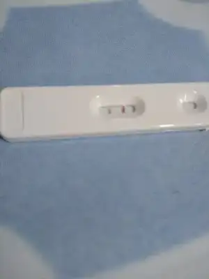 15111927257141883772792.webp
