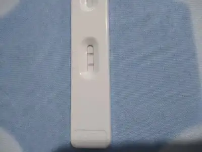 15112102362272063210938.webp