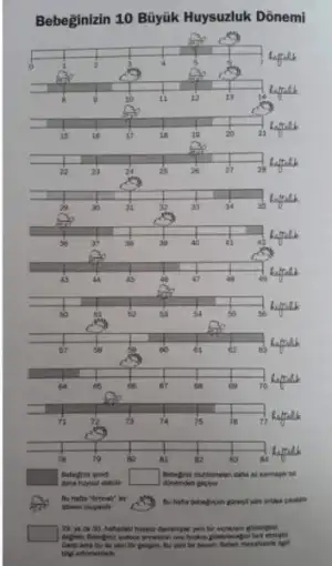 A8D7BD4A-84EA-4B80-BB9A-D17D1C9B64C5.webp