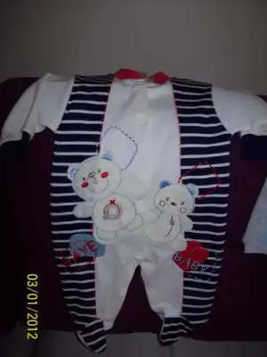 $100_4132.webp