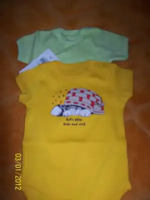 $100_4141.webp