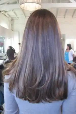 a06291df7404310b75681a70071638d2--brunette-highlights-ash-brunette.webp