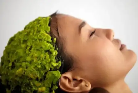 Doğal Saç Maskeleri Mi? Hazır Maskeler Mi? Saça Daha Faydalıdır?