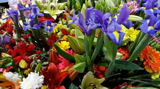 010.webp