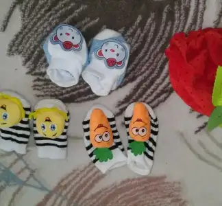 IMAG2341_1.webp
