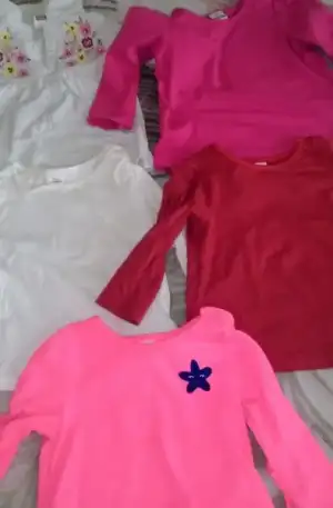 IMAG2334_1.webp