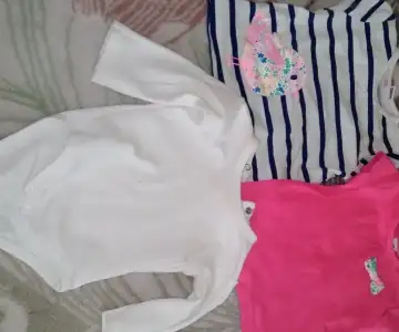 IMAG2333_1.webp
