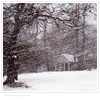 $mw_04_by_andos_pics.gif
