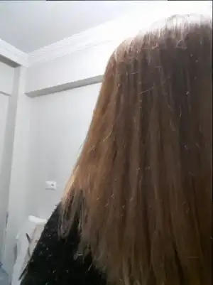 20171224_232821.webp