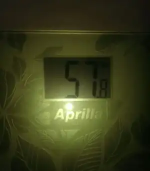 IMAG0013_1.webp