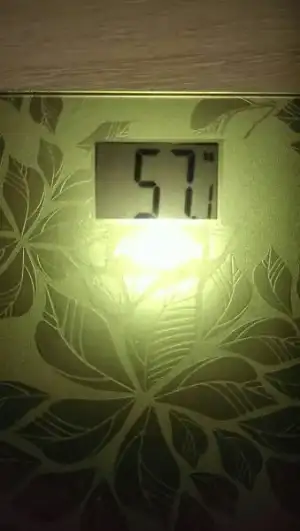 IMAG0033.webp