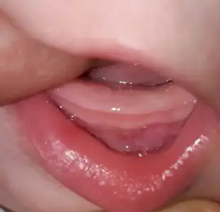 20180106_162734.webp