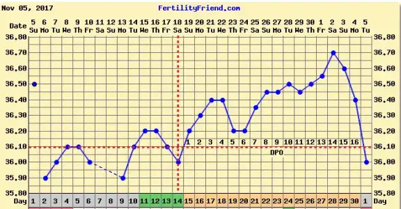 FF_Kasım2017_.webp