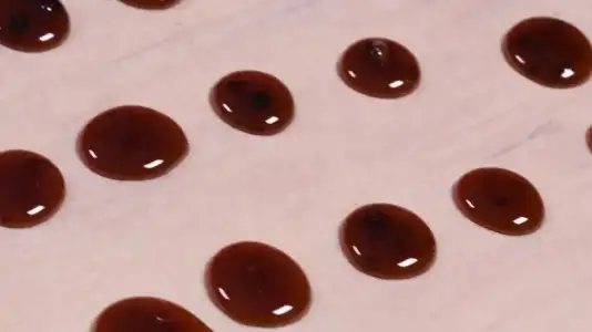 evde_oksuruk_pastili_yapimi.jpg evde_oksuruk_pastili_yapimi.jpg