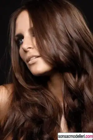 959D0202-60C1-45D7-85A0-31134DEDDF3E.webp