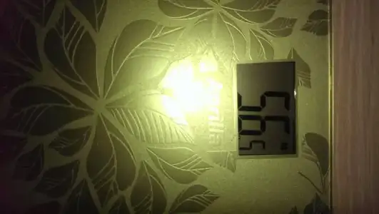 IMAG0104.webp