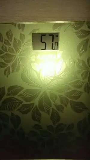 IMAG0191.webp