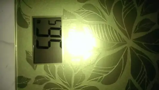 IMAG0214.webp