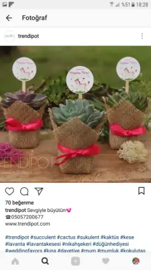 Screenshot_20180129-182803.webp