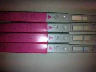 $11.01.2012 test.webp