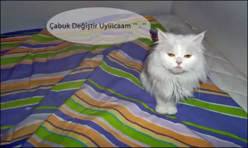 $AhwzfIOCAAEXlf7.webp