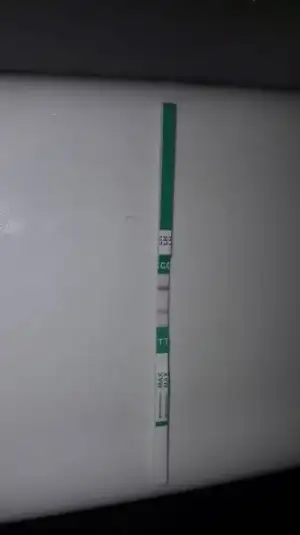 20180131_211952.webp