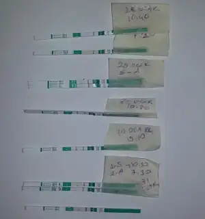 20180201_103903-1.webp
