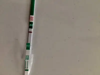 E0F4E3B1-B661-44DD-A27D-40D7E742B0B3.webp