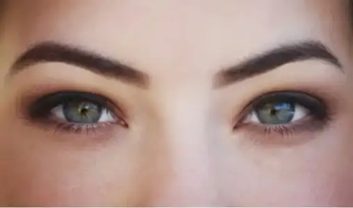 kas_uzatma_kas_bakimi.webp