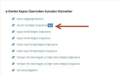 soy_agaci_sorgulama.webp