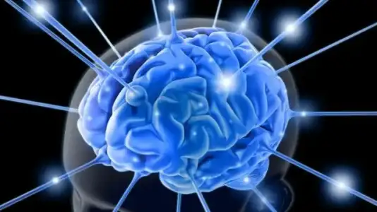 epilepsi_belirtileri_tedavisi.jpg epilepsi_belirtileri_tedavisi.jpg