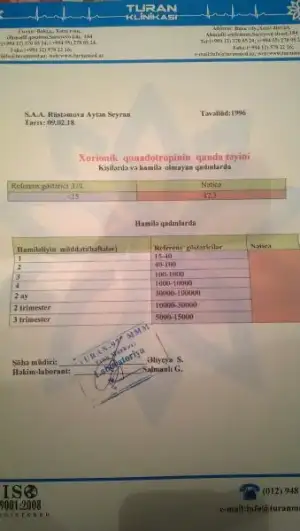 IMAG3384.webp
