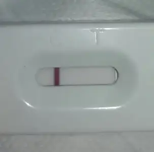 20180214_082331.webp