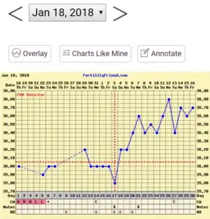 20180216_082210.webp
