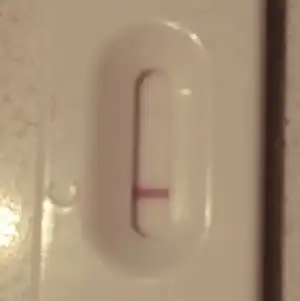 IMAG0755_1.webp