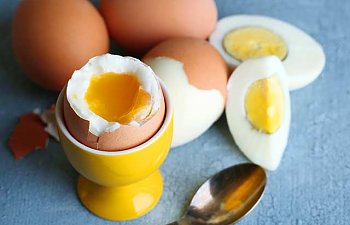 Canan Karatay Yumurta Diyet Listesi