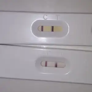 20180303_120543.webp