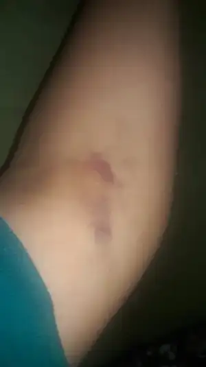 15205167612171908950803.webp