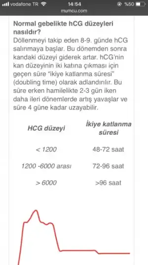 D980FE6A-0C7B-41DF-9834-9303AD825CF7.webp