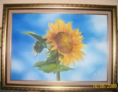 $102_0685.webp