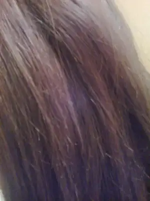 $17012012062.webp