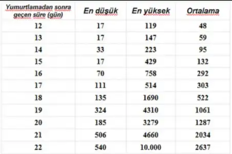 1521049333166.webp