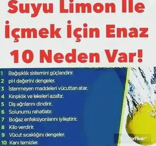 F2D08F83-5576-4D7E-A01E-51CB4B82B961.webp