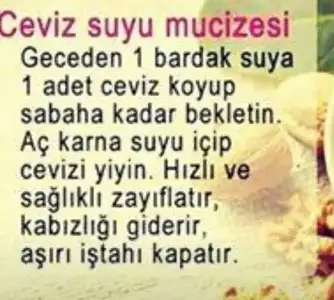 543A629C-ACD5-4EC7-A400-BE3D5AF909A2.webp
