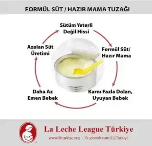 F733B7ED-0A51-40DC-923B-BA2A8B23258D.webp