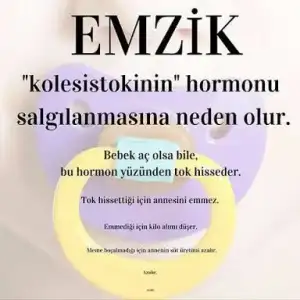 23162436-BA4A-4A72-99BF-3E111E5F90B3.webp