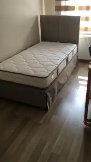 26E598BD-A96C-4D9F-A152-77868AC31641.webp 26E598BD-A96C-4D9F-A152-77868AC31641.webp