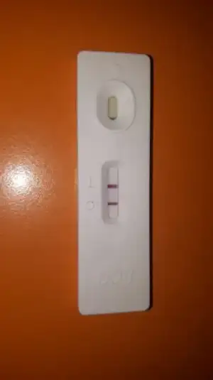 WhatsApp Image 2018-03-27 at 11.40.42.webp